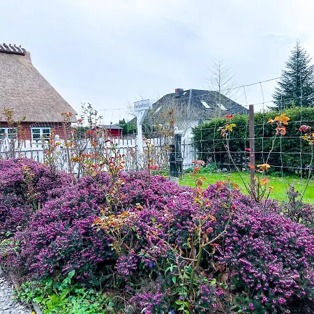 800m Zur Ostsee, Hund, Strand, Meer, Geltinger Bucht Ferienhaus *